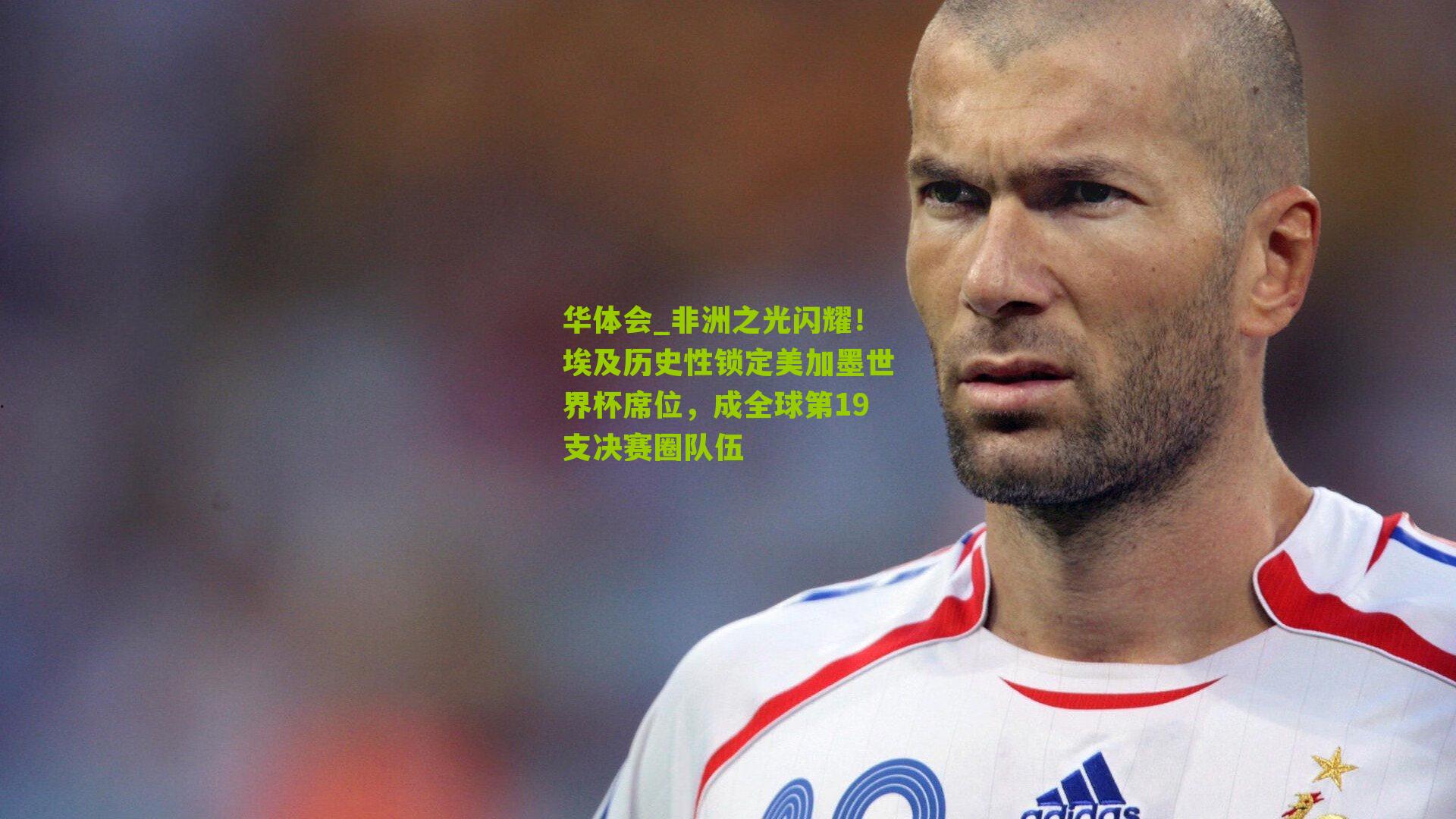 华体会_非洲之光闪耀！埃及历史性锁定美加墨世界杯席位，成全球第19支决赛圈队伍