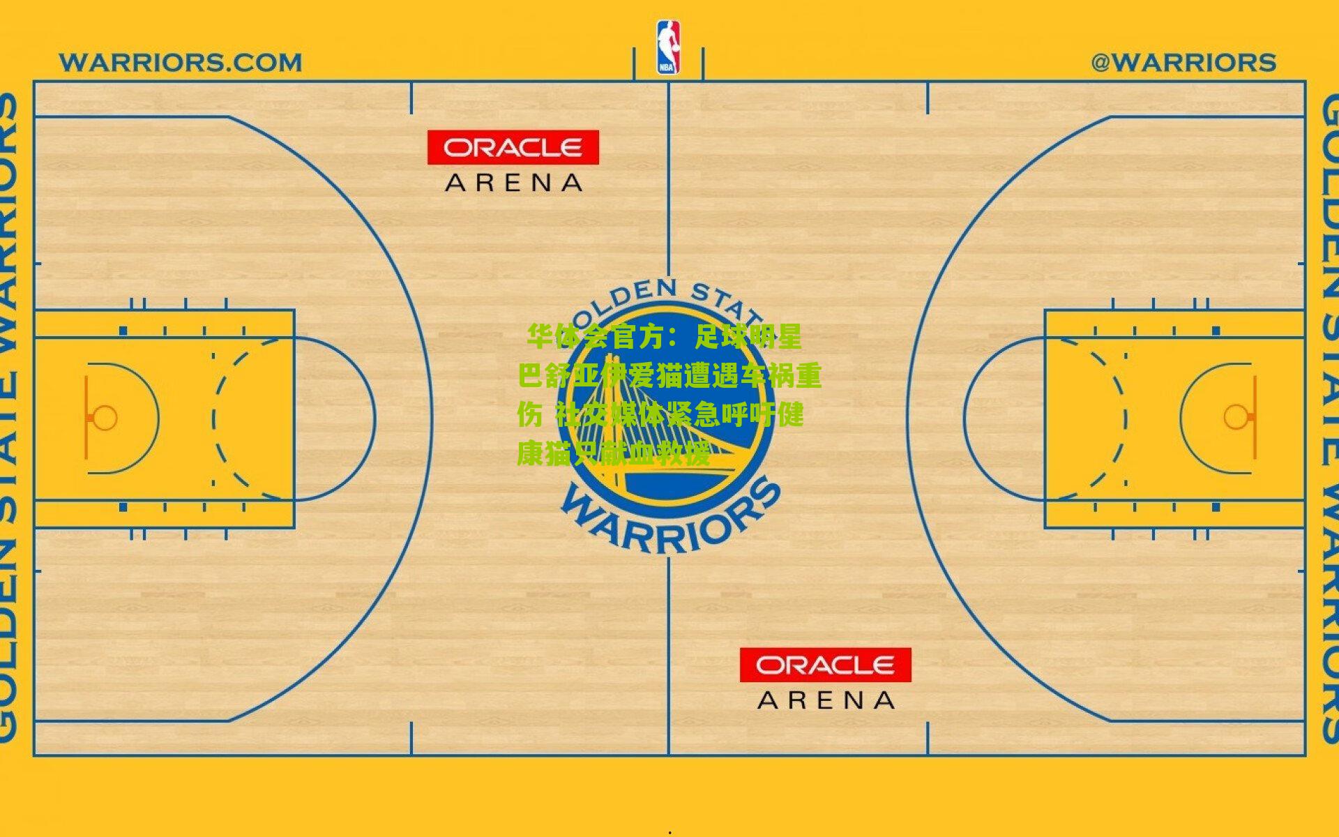 足球明星巴舒亚伊爱猫遭遇车祸重伤 社交媒体紧急呼吁健康猫只献血救援