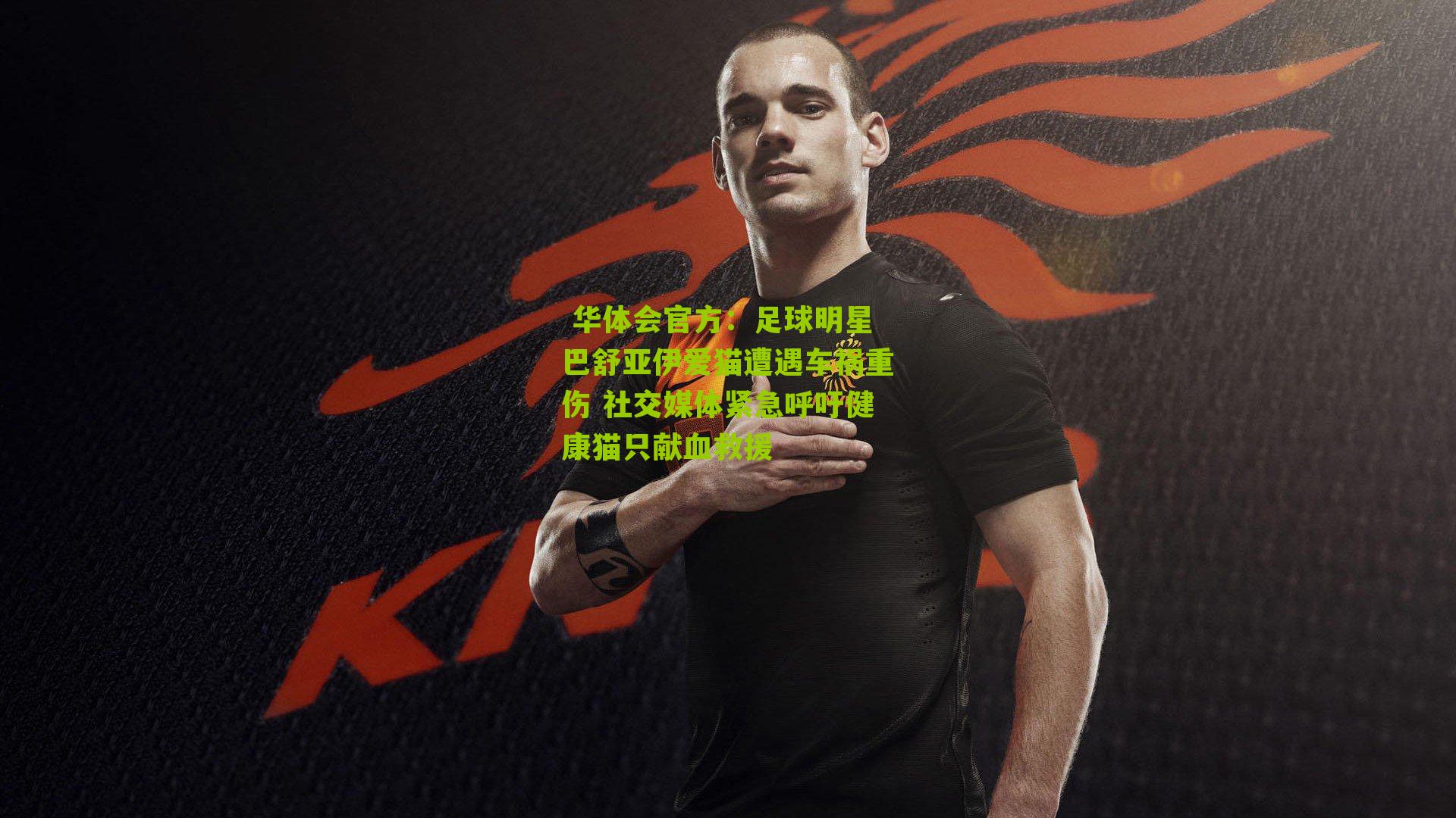 足球明星巴舒亚伊爱猫遭遇车祸重伤 社交媒体紧急呼吁健康猫只献血救援