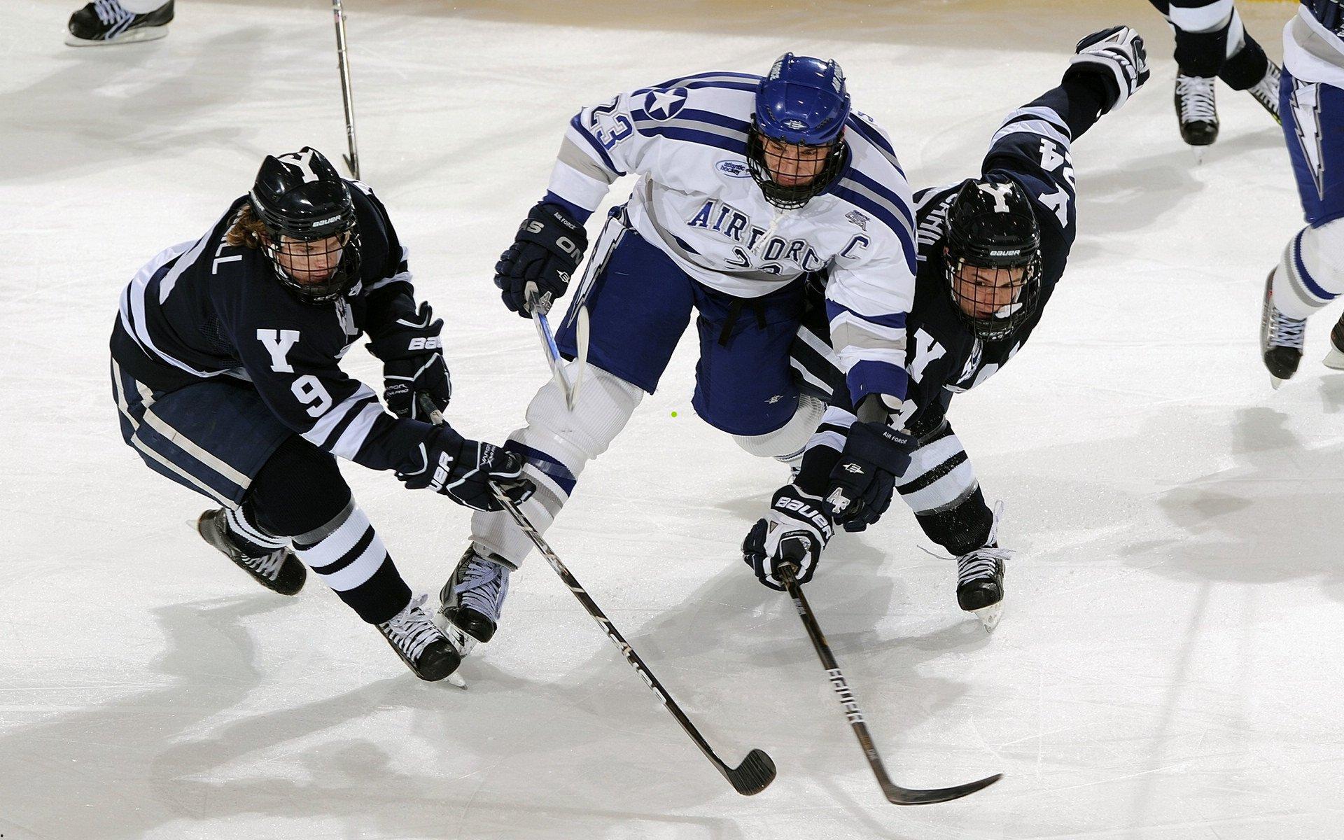 徐正源评价冬训成果丰硕 备战积累将在新赛季全面释放