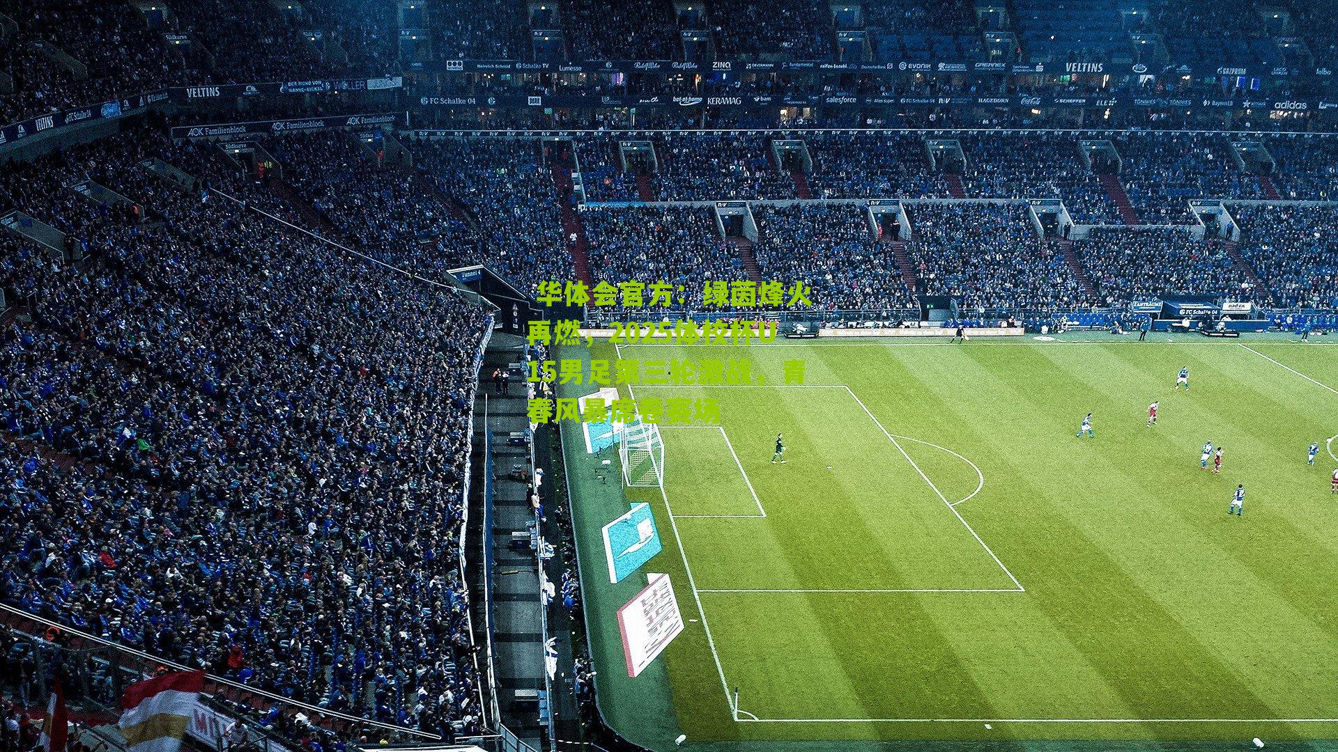 绿茵烽火再燃，2025体校杯U15男足第三轮激战，青春风暴席卷赛场