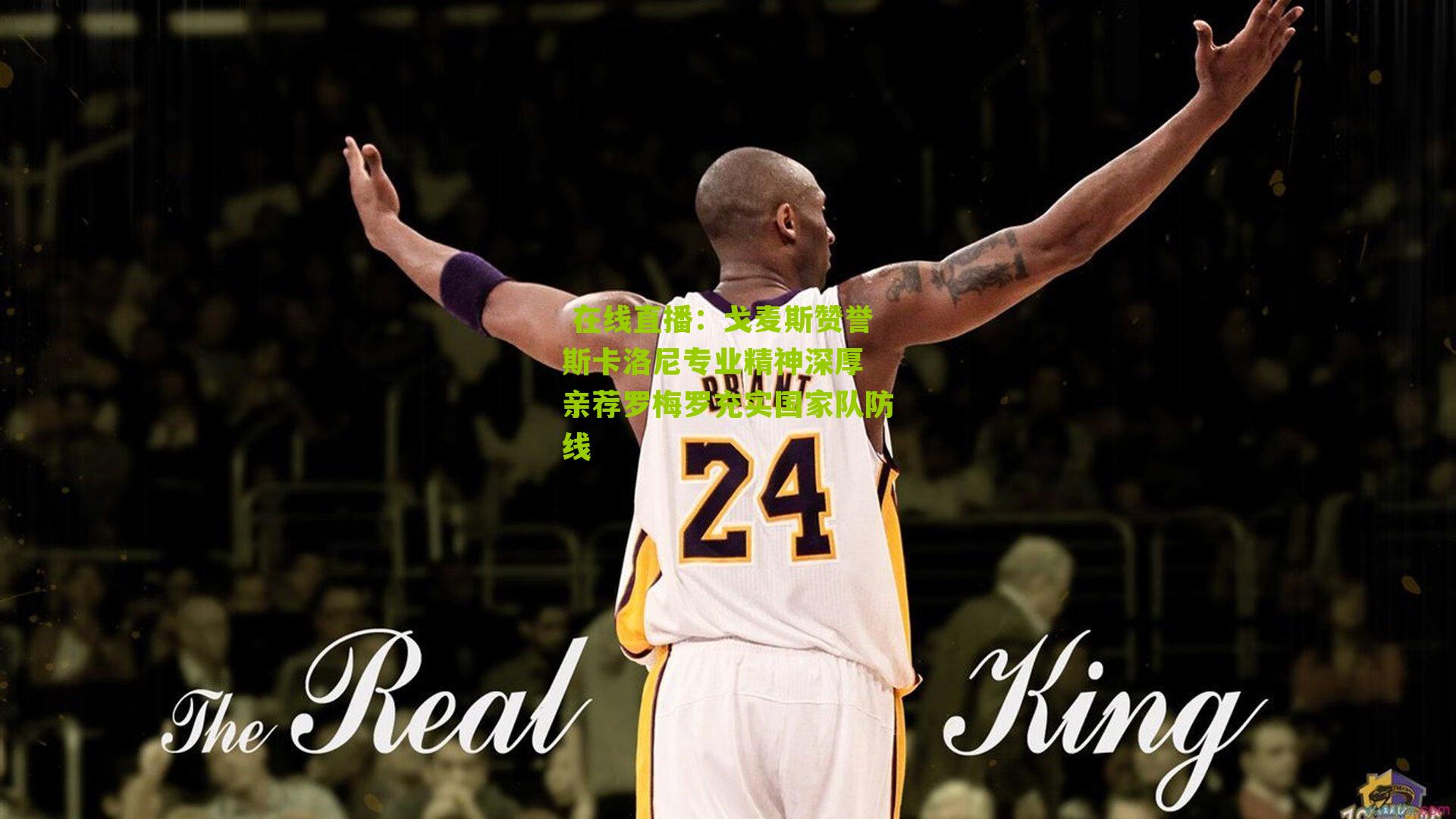 戈麦斯赞誉斯卡洛尼专业精神深厚 亲荐罗梅罗充实国家队防线